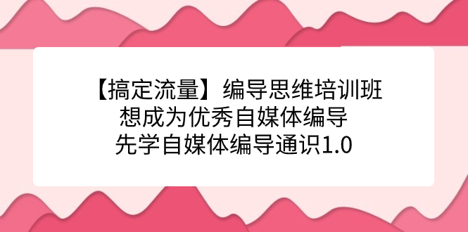 【搞定流量】编导思维培训班，想成为优秀自媒体编导先学自媒体编导通识1.0狐狸致富吧-狐狸副业网-扶苏副业网狐狸致富吧
