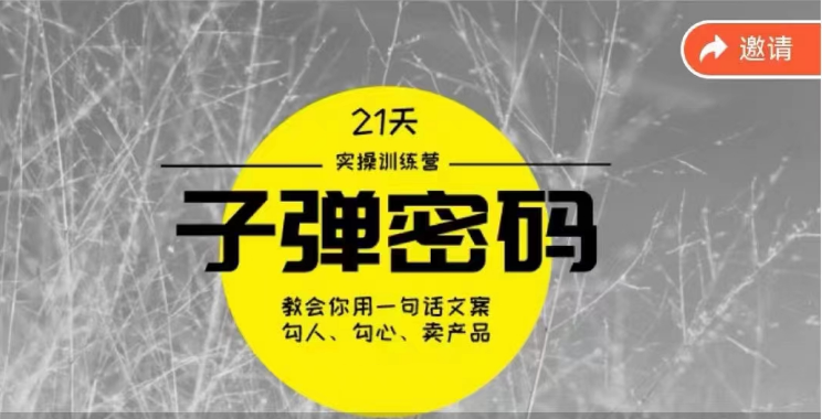 《子弹密码训练营》用一句话文案勾人勾心卖产品，21天学到顶尖文案大师策略和技巧狐狸致富吧-狐狸副业网-扶苏副业网狐狸致富吧