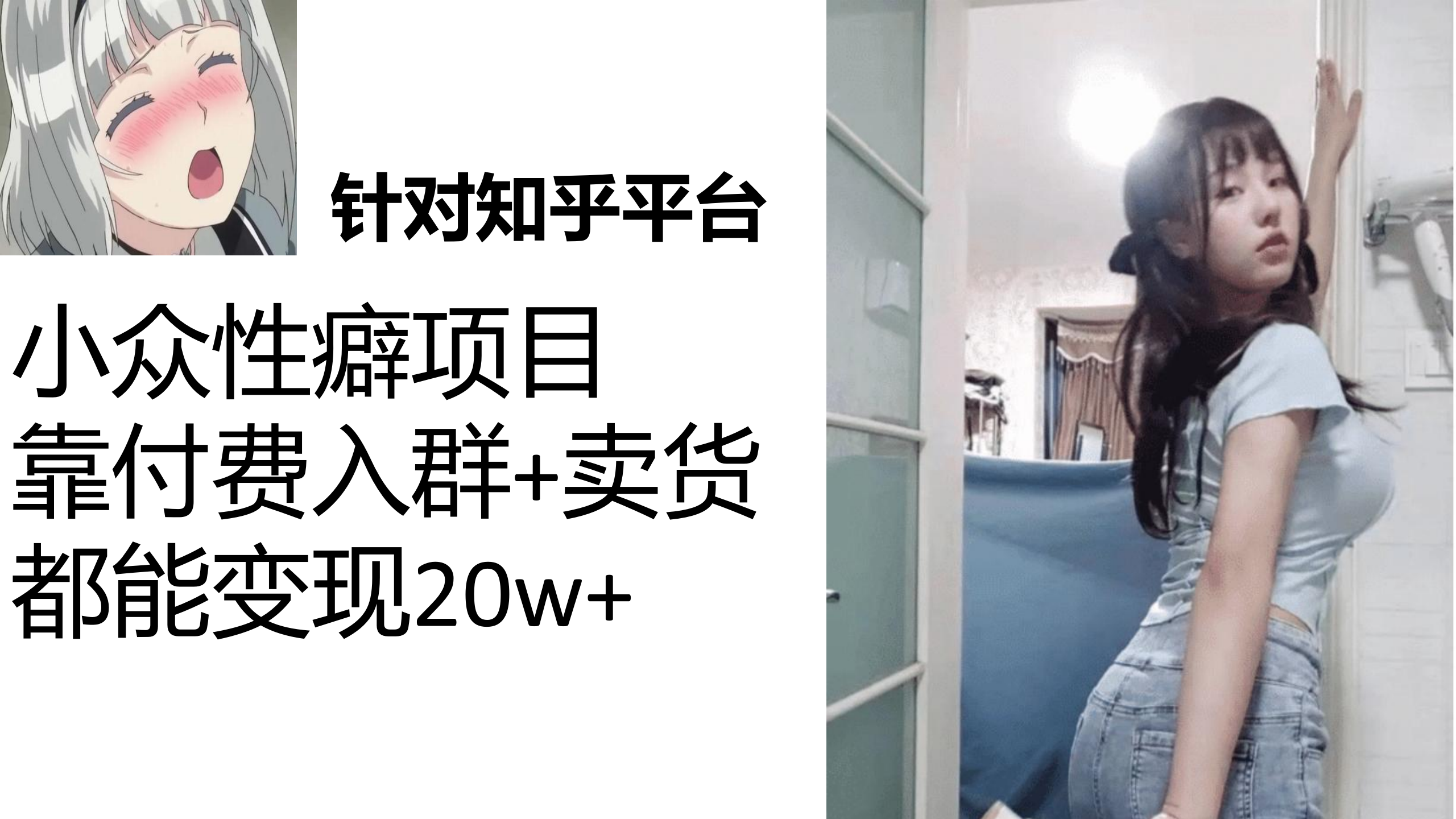 知乎小众性癖项目，Lsp的钱才是最好赚的，付费建群+卖货变现20w狐狸致富吧-狐狸副业网-扶苏副业网狐狸致富吧