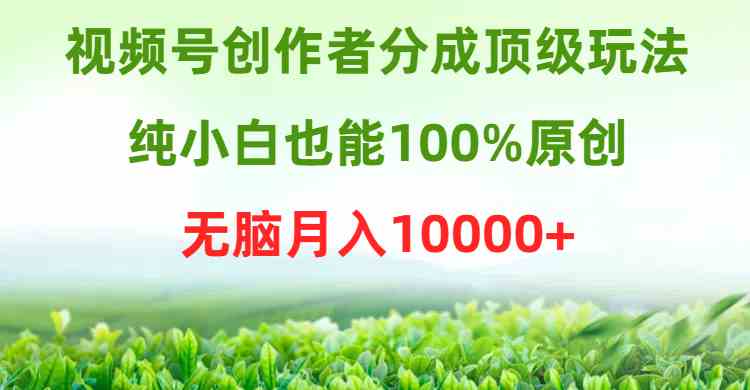 （9608期）视频号创作者分成顶级玩法，纯小白也能100%原创，无脑月入10000+狐狸致富吧-狐狸副业网-扶苏副业网狐狸致富吧