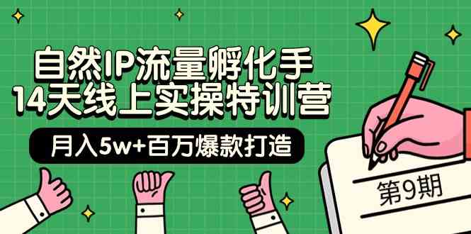 （9881期）自然IP流量孵化手 14天线上实操特训营【第9期】月入5w+百万爆款打造 (74节)狐狸致富吧-狐狸副业网-扶苏副业网狐狸致富吧