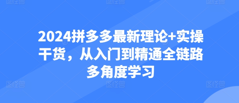2024拼多多最新理论+实操干货，从入门到精通全链路多角度学习狐狸致富吧-狐狸副业网-扶苏副业网狐狸致富吧
