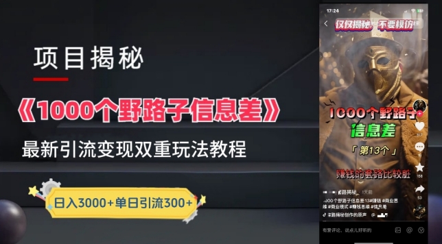 一千个野路子信息差最新玩法教程-变现+引流的玩法具体拆解狐狸致富吧-狐狸副业网-扶苏副业网狐狸致富吧