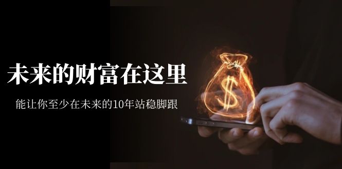 某收费文章《未来的财富在这里》能让你至少在未来的10年站稳脚跟狐狸致富吧-狐狸副业网-扶苏副业网狐狸致富吧