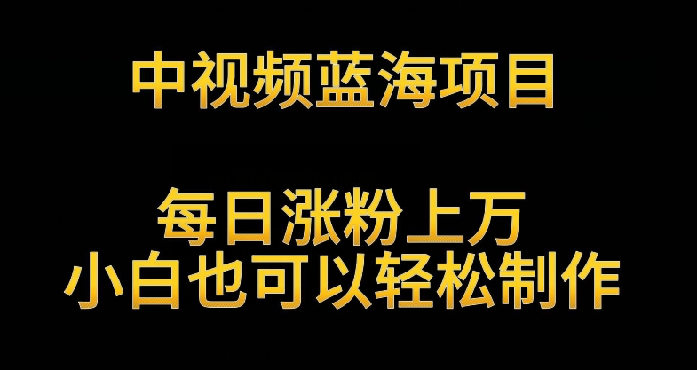 中视频蓝海项目，解读英雄人物生平，每日涨粉上万，小白也可以轻松制作，月入过万不是梦狐狸致富吧-狐狸副业网-扶苏副业网狐狸致富吧