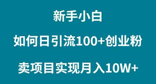 （9556期）新手小白如何通过卖项目实现月入10W+狐狸致富吧-狐狸副业网-扶苏副业网狐狸致富吧