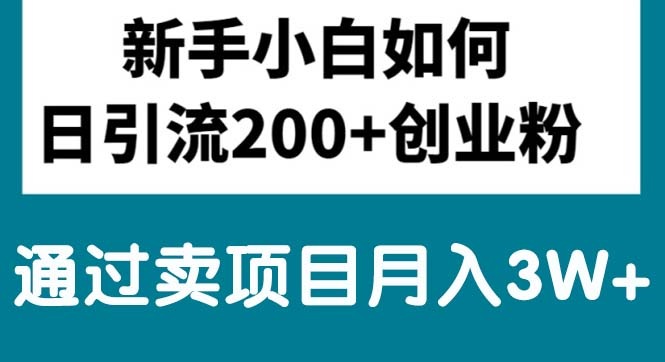 （10843期）新手小白日引流200+创业粉,通过卖项目月入3W+狐狸致富吧-狐狸副业网-扶苏副业网狐狸致富吧