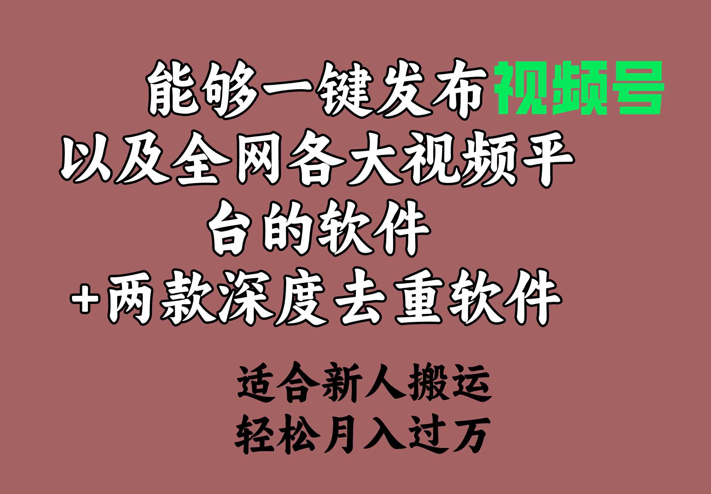 （9319期）能够一键发布视频号以及全网各大视频平台的软件+两款深度去重软件 适合…狐狸致富吧-狐狸副业网-扶苏副业网狐狸致富吧