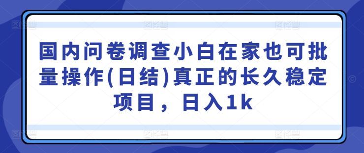 国内问卷调查小白在家也可批量操作(日结)真正的长久稳定项目，日入1k【揭秘】狐狸致富吧-狐狸副业网-扶苏副业网狐狸致富吧
