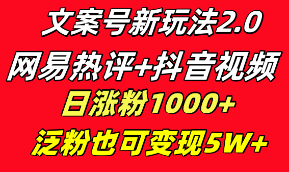文案号新玩法 网易热评+抖音文案 一天涨粉1000+ 多种变现模式 泛粉也可变现狐狸致富吧-狐狸副业网-扶苏副业网狐狸致富吧