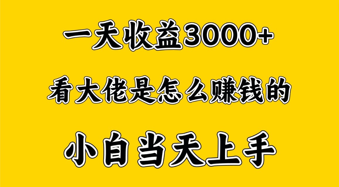 一天赚3000多，大佬是这样赚到钱的，小白当天上手，穷人翻身项目狐狸致富吧-狐狸副业网-扶苏副业网狐狸致富吧