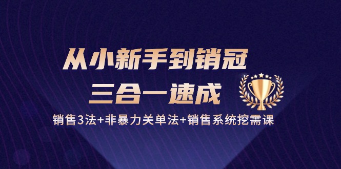 从小新手到销冠三合一速成：销售3法+非暴力关单法+销售系统挖需课 (27节)狐狸致富吧-狐狸副业网-扶苏副业网狐狸致富吧