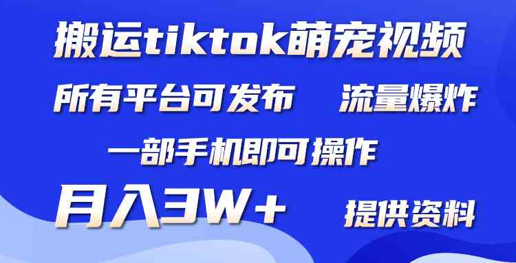 （9618期）搬运Tiktok萌宠类视频，一部手机即可。所有短视频平台均可操作，月入3W+狐狸致富吧-狐狸副业网-扶苏副业网狐狸致富吧