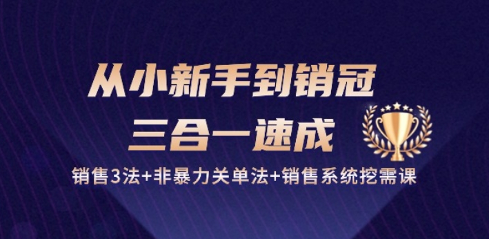 从小新手到销冠 三合一速成：销售3法+非暴力关单法+销售系统挖需课 (27节)狐狸致富吧-狐狸副业网-扶苏副业网狐狸致富吧
