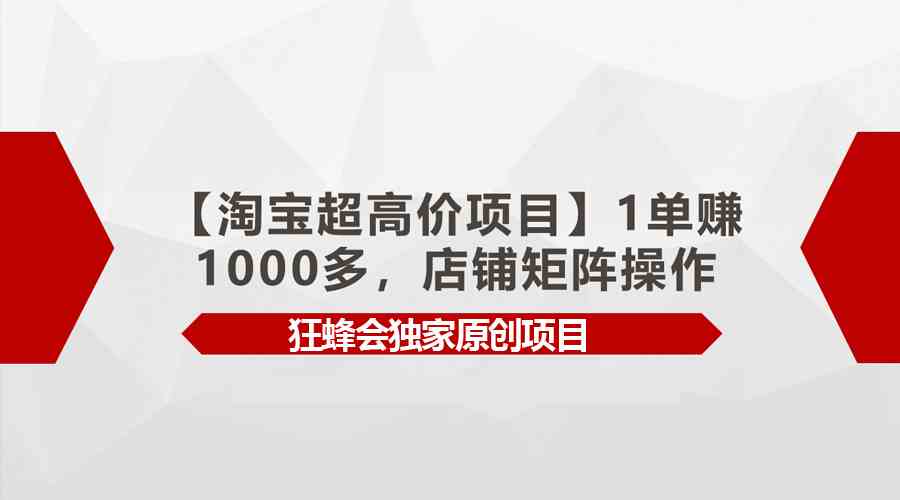 （9849期）【淘宝超高价项目】1单赚1000多，店铺矩阵操作狐狸致富吧-狐狸副业网-扶苏副业网狐狸致富吧