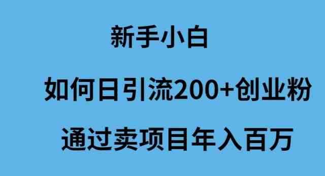 （9668期）新手小白如何日引流200+创业粉通过卖项目年入百万狐狸致富吧-狐狸副业网-扶苏副业网狐狸致富吧