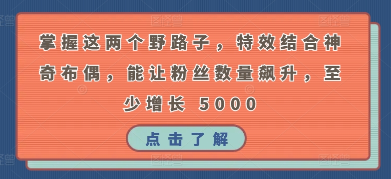 掌握这两个野路子，特效结合神奇布偶，能让粉丝数量飙升，至少增长 5000狐狸致富吧-狐狸副业网-扶苏副业网狐狸致富吧