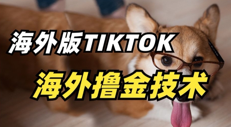 抖音海外版tiktok撸金技术，这个风口行业，赚钱真的不难狐狸致富吧-狐狸副业网-扶苏副业网狐狸致富吧