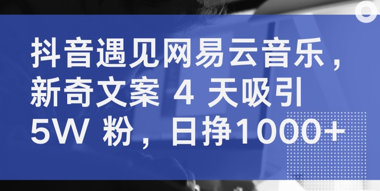 抖音遇见网易云音乐，新奇文案 4 天吸引 5W 粉，日挣1000+狐狸致富吧-狐狸副业网-扶苏副业网狐狸致富吧