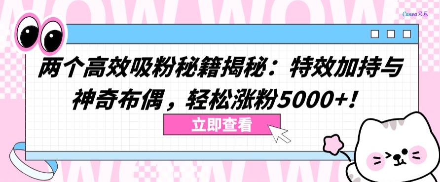 两个高效吸粉秘籍揭秘：特效加持与神奇布偶，轻松涨粉5000+狐狸致富吧-狐狸副业网-扶苏副业网狐狸致富吧